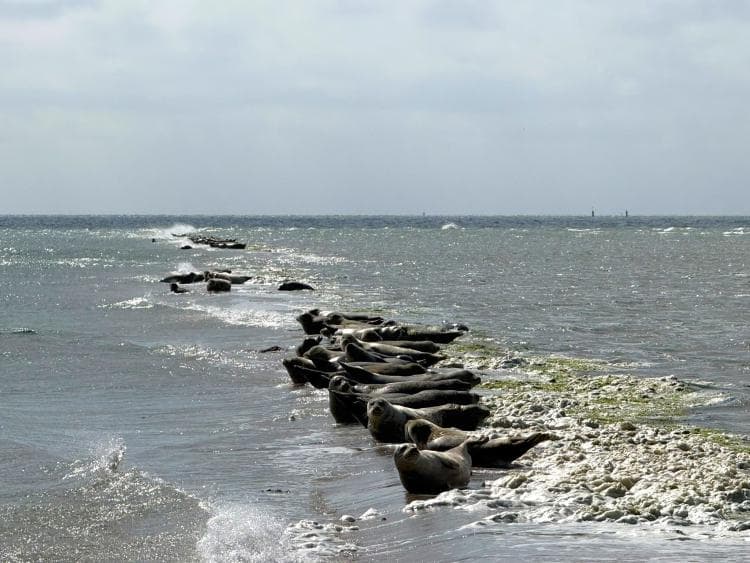 Travel image 6