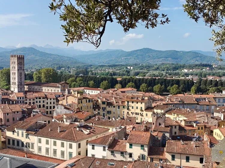 Travel image 9