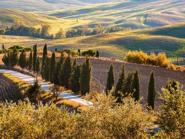 Travel image 17