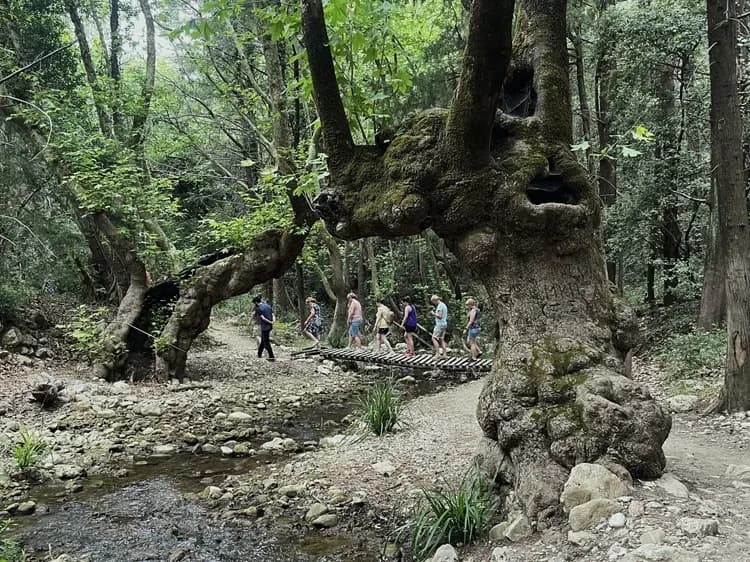 Travel image 12