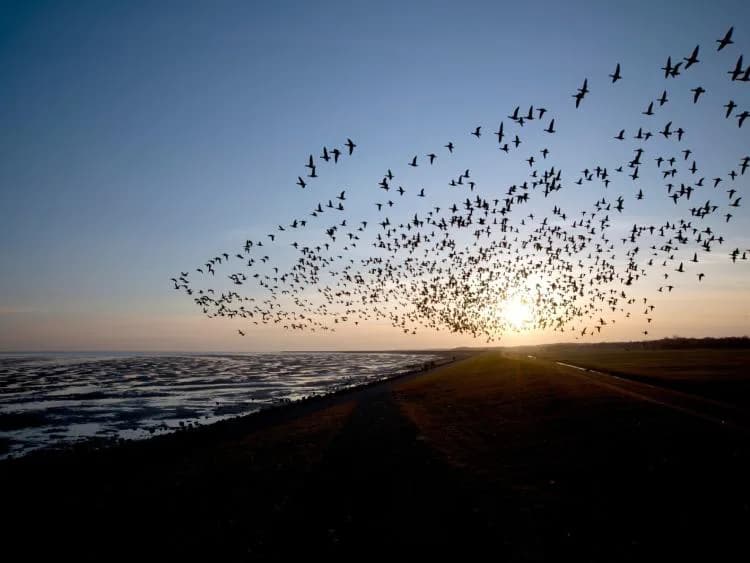 Travel image 11