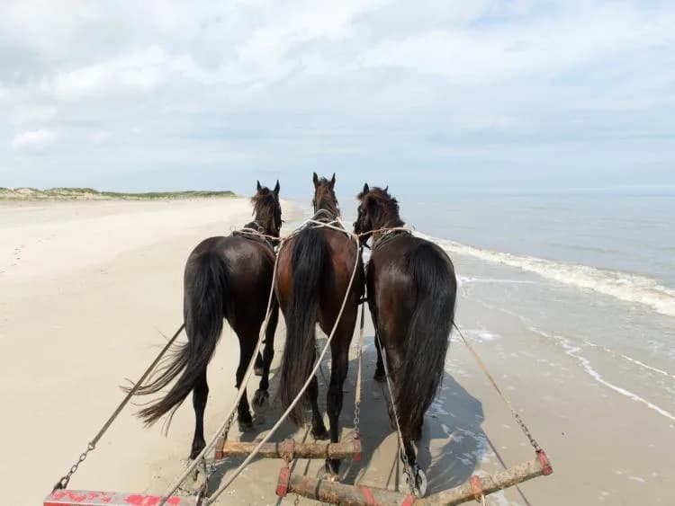 Travel image 9