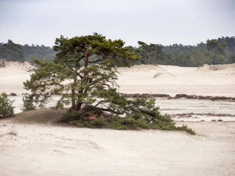 Travel image 4