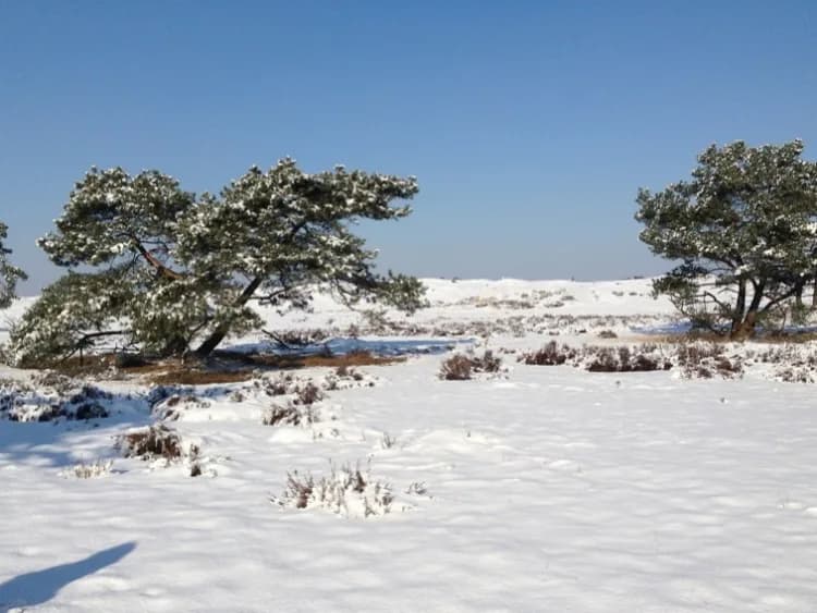 Travel image 1