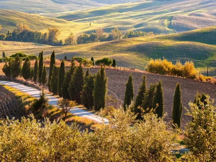 Travel image 17