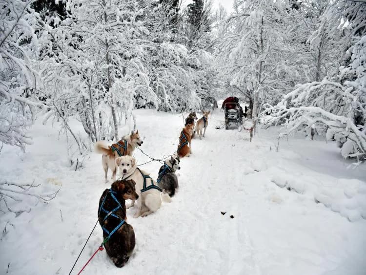 Travel image 64