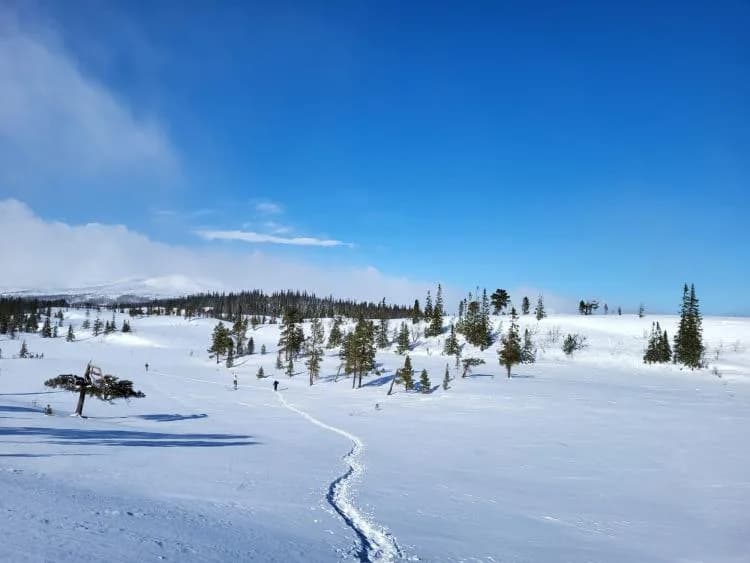 Travel image 22