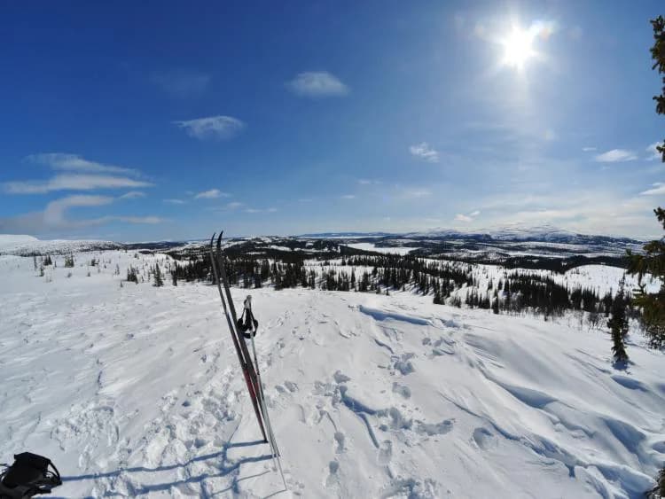 Travel image 47