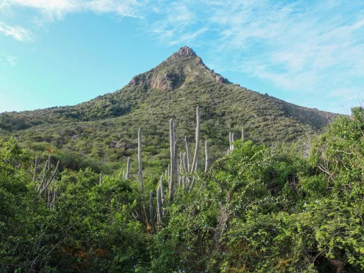 Travel image 10