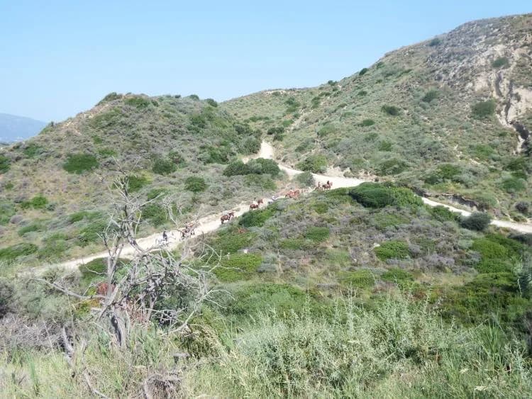 Travel image 9
