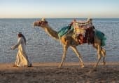 Travel image 6